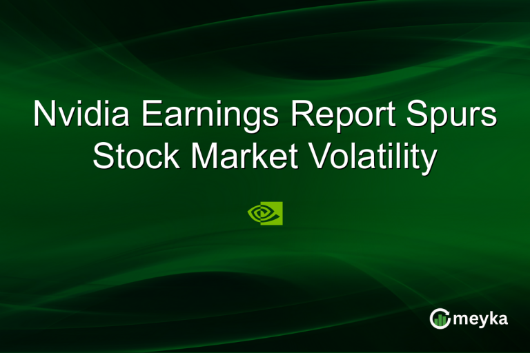 Nvidia Earnings Report Spurs Stock Market Volatility