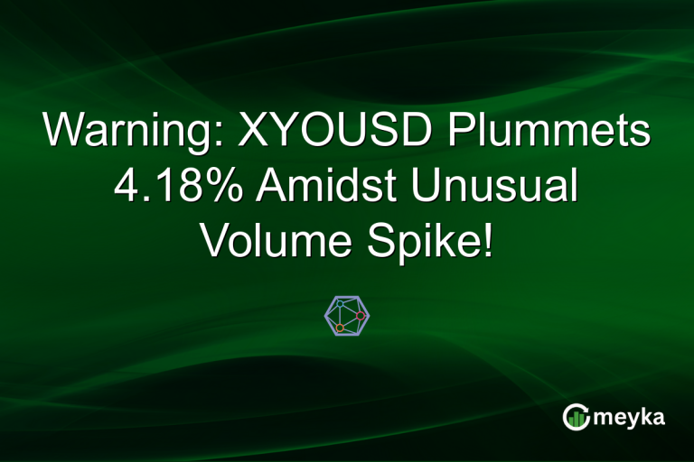 Warning: XYOUSD Plummets 4.18% Amidst Unusual Volume Spike!