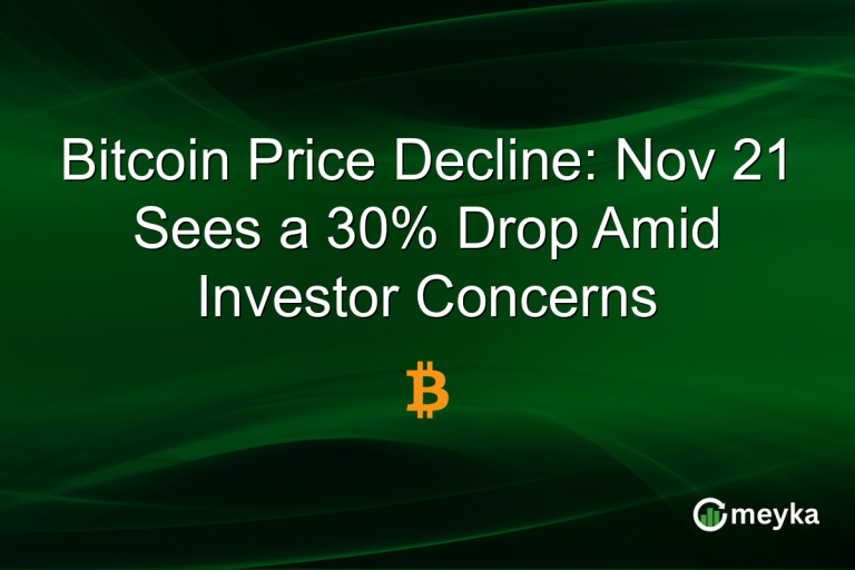 Bitcoin Price Decline: Nov 21 Sees a 30% Drop Amid Investor Concerns