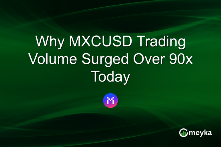 Why MXCUSD Trading Volume Surged Over 90x Today
