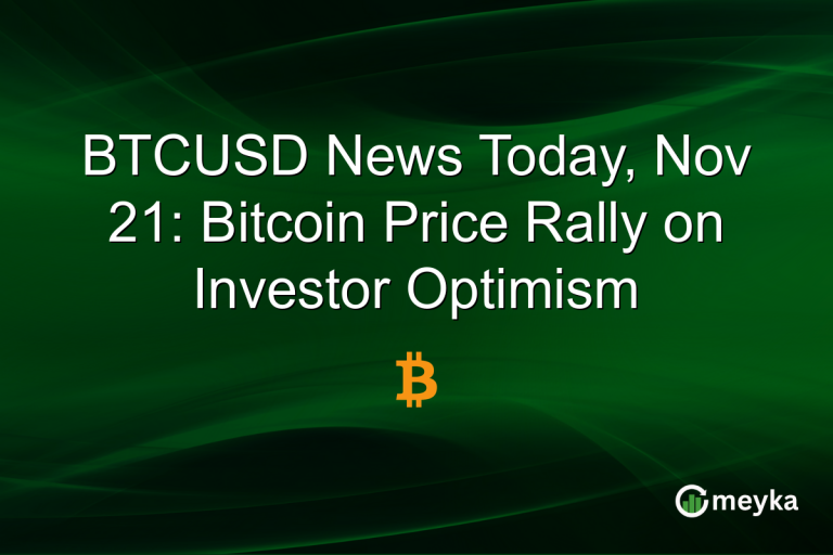 BTCUSD News Today, Nov 21: Bitcoin Price Rally on Investor Optimism