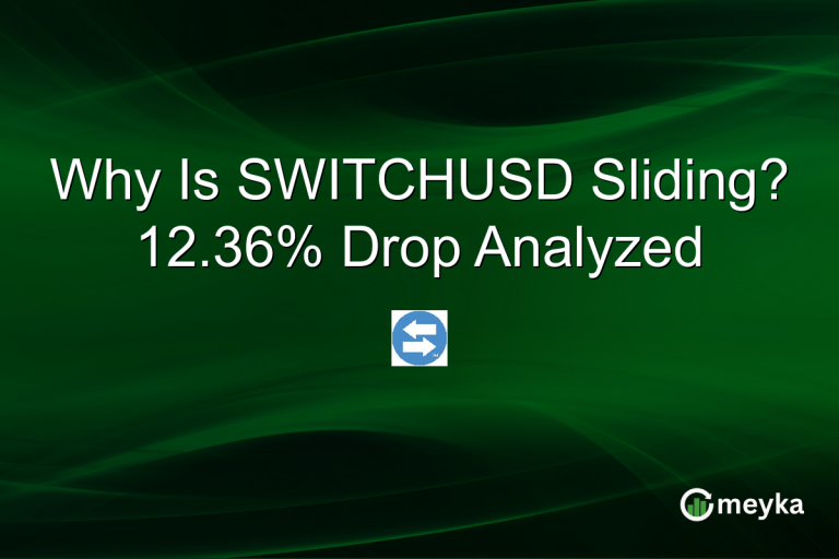 Why Is SWITCHUSD Sliding? 12.36% Drop Analyzed