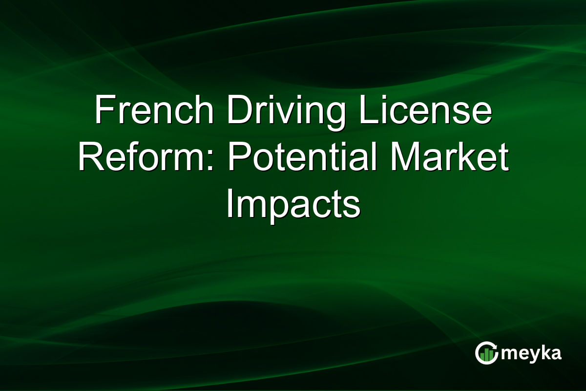 French Driving License Reform: Potential Market Impacts