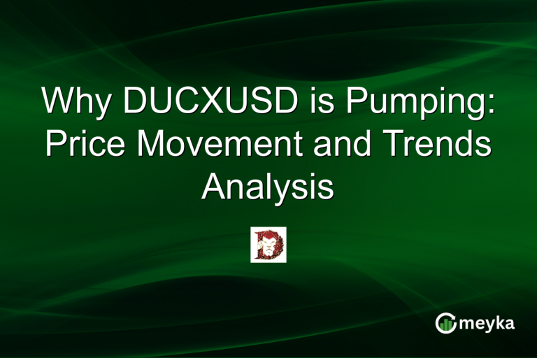 Why DUCXUSD is Pumping: Price Movement and Trends Analysis