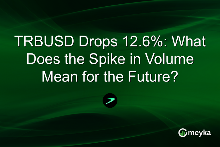 TRBUSD Drops 12.6%: What Does the Spike in Volume Mean for the Future?