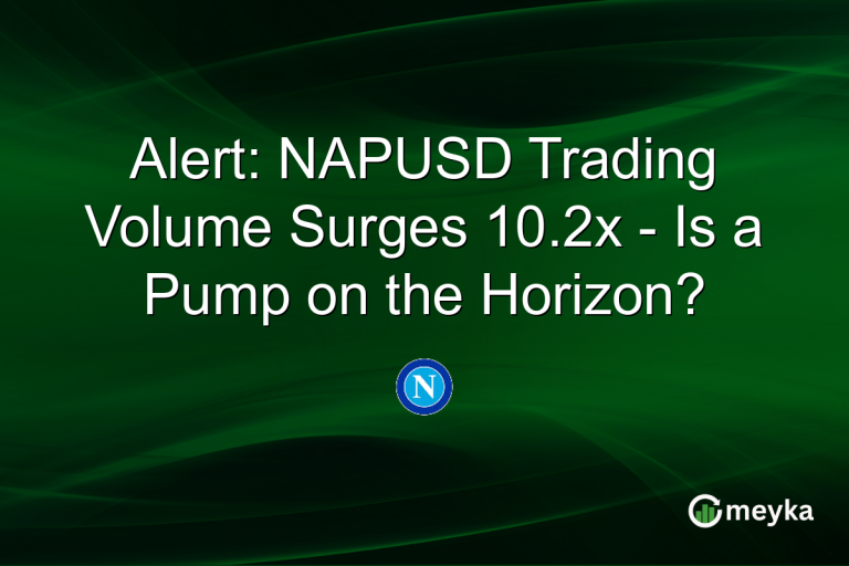 Alert: NAPUSD Trading Volume Surges 10.2x - Is a Pump on the Horizon?