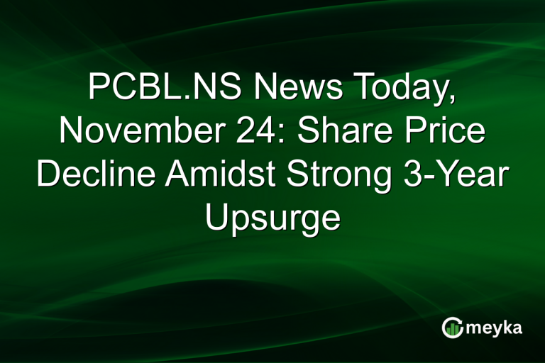 PCBL.NS News Today, November 24: Share Price Decline Amidst Strong 3-Year Upsurge