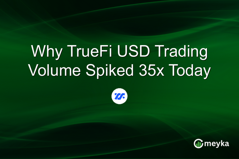 Why TrueFi USD Trading Volume Spiked 35x Today