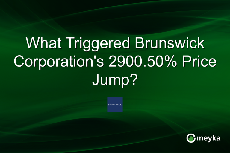 What Triggered Brunswick Corporation's 2900.50% Price Jump?