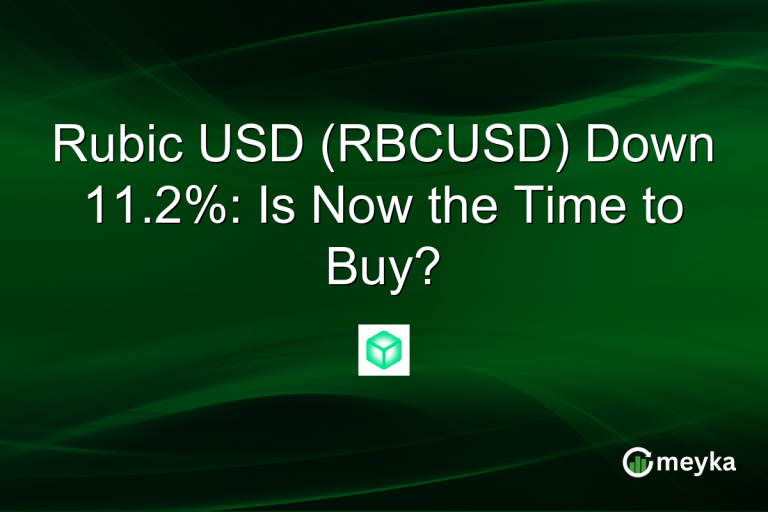 Rubic USD (RBCUSD) Down 11.2%: Is Now the Time to Buy?