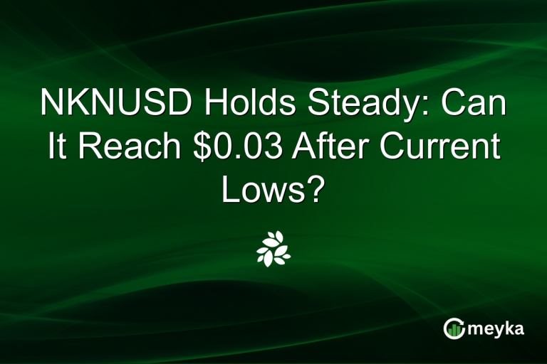 NKNUSD Holds Steady: Can It Reach $0.03 After Current Lows?