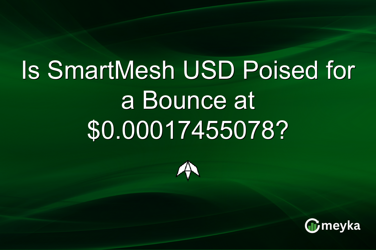 Is SmartMesh USD Poised for a Bounce at $0.00017455078?