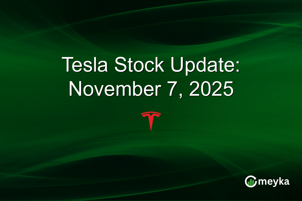 Tesla Stock Update: November 7, 2025