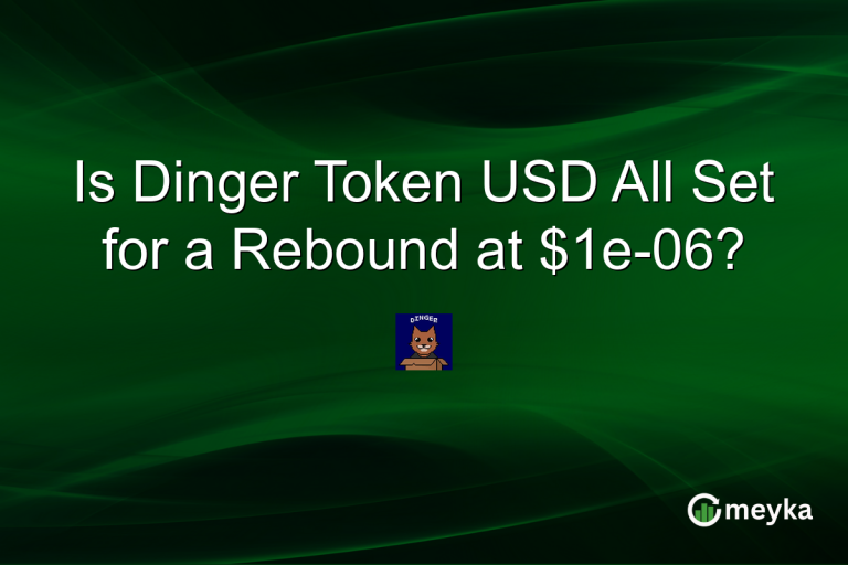 Is Dinger Token USD All Set for a Rebound at $1e-06?