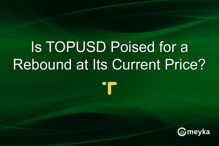 Is TOPUSD Poised for a Rebound at Its Current Price?