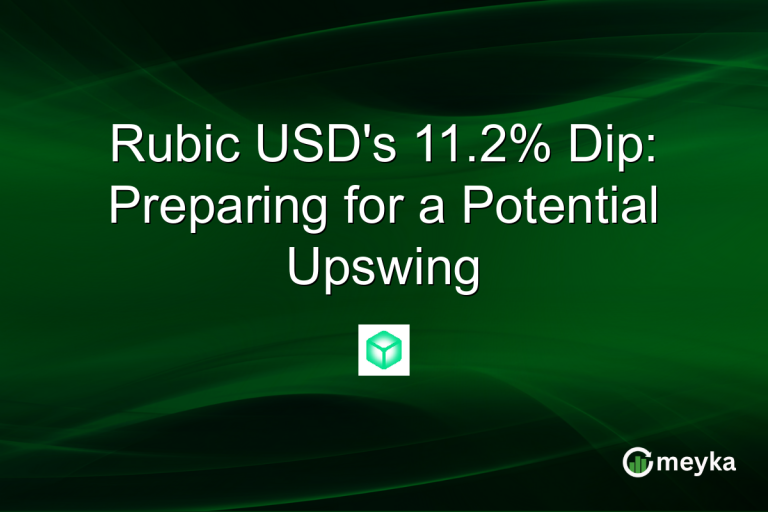 Rubic USD's 11.2% Dip: Preparing for a Potential Upswing