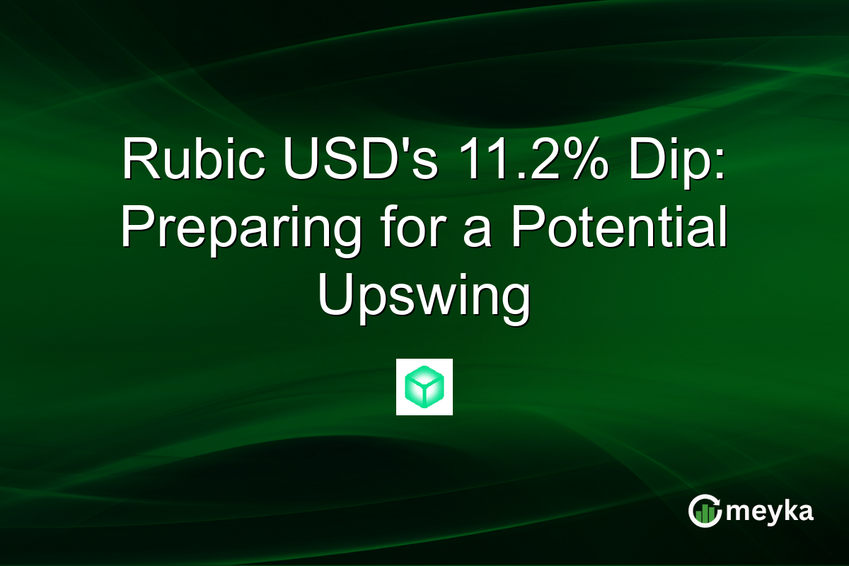 Rubic USD's 11.2% Dip: Preparing for a Potential Upswing
