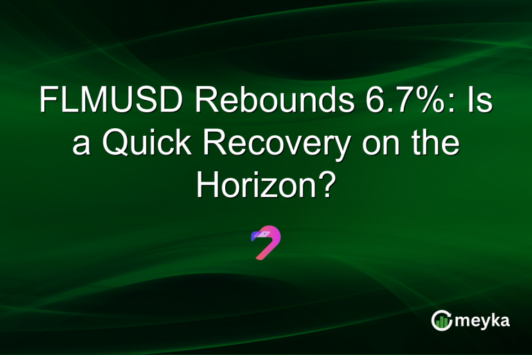 FLMUSD Rebounds 6.7%: Is a Quick Recovery on the Horizon?