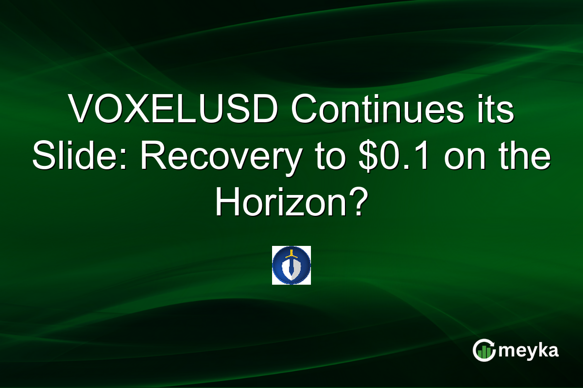 VOXELUSD Continues its Slide: Recovery to $0.1 on the Horizon?