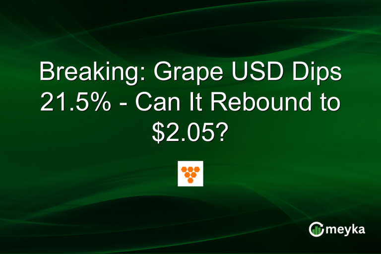 Breaking: Grape USD Dips 21.5% - Can It Rebound to $2.05?