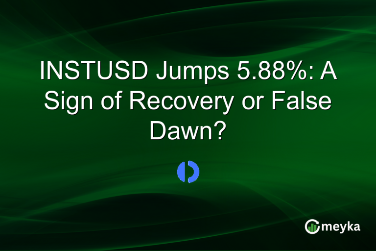 INSTUSD Jumps 5.88%: A Sign of Recovery or False Dawn?