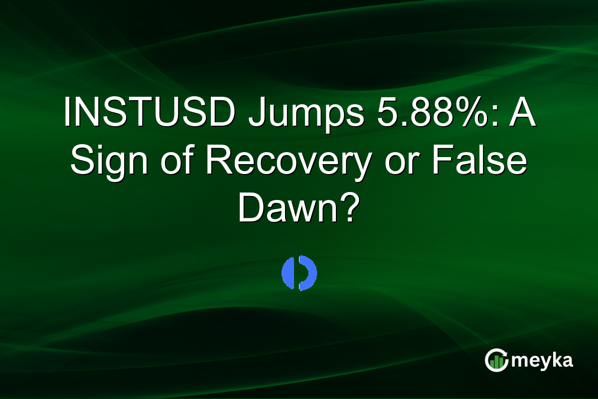INSTUSD Jumps 5.88%: A Sign of Recovery or False Dawn?