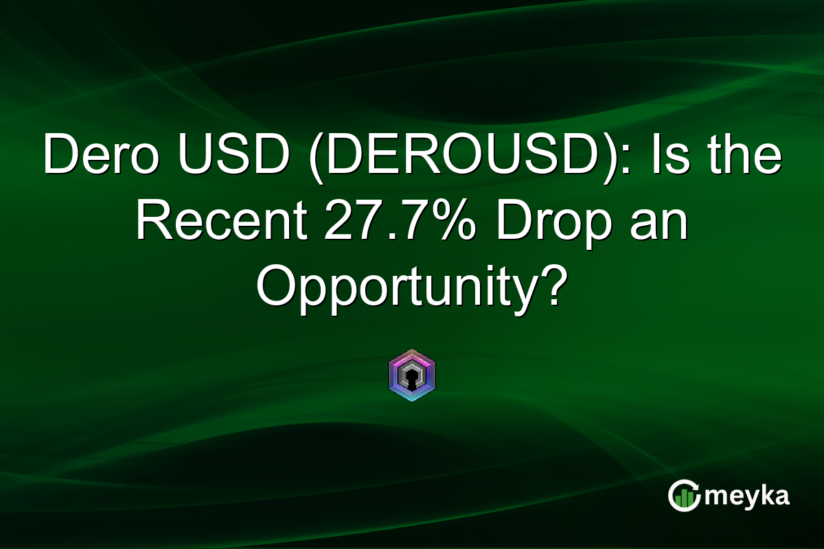 Dero USD (DEROUSD): Is the Recent 27.7% Drop an Opportunity?