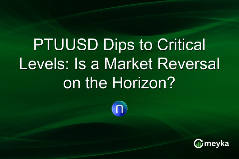 PTUUSD Dips to Critical Levels: Is a Market Reversal on the Horizon?