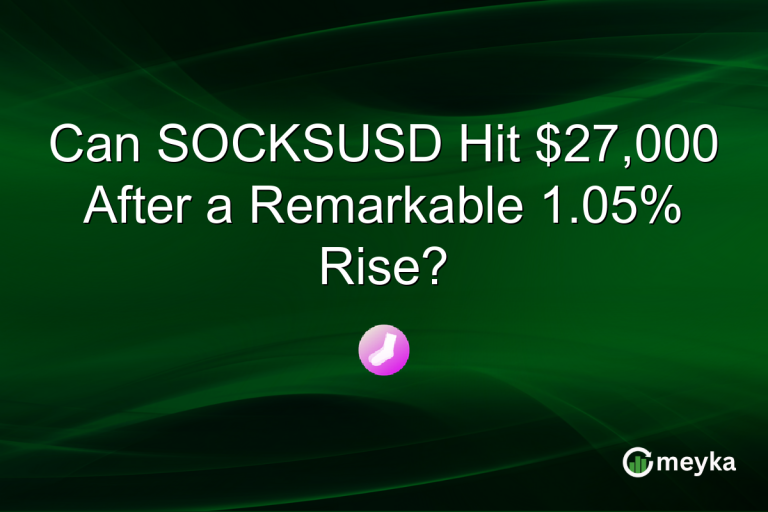 Can SOCKSUSD Hit $27,000 After a Remarkable 1.05% Rise?