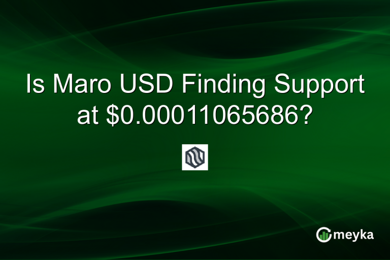 Is Maro USD Finding Support at $0.00011065686?