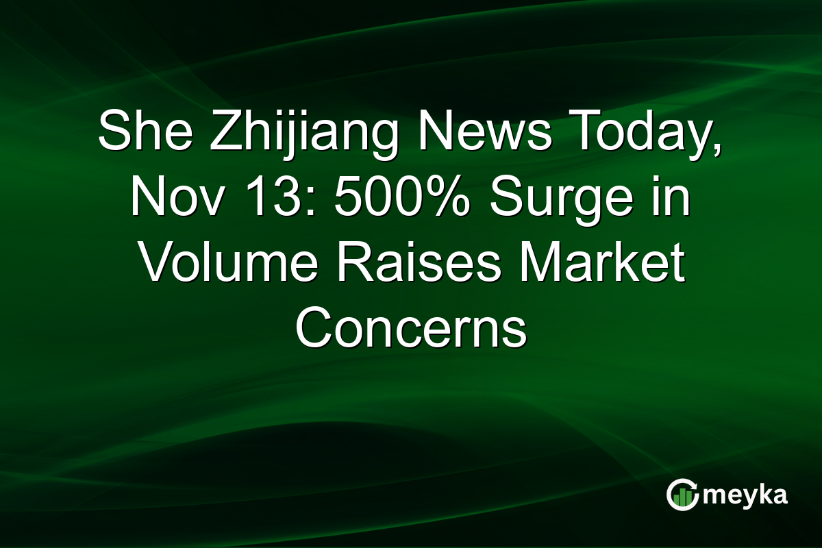 She Zhijiang News Today, Nov 13: 500% Surge in Volume Raises Market Concerns