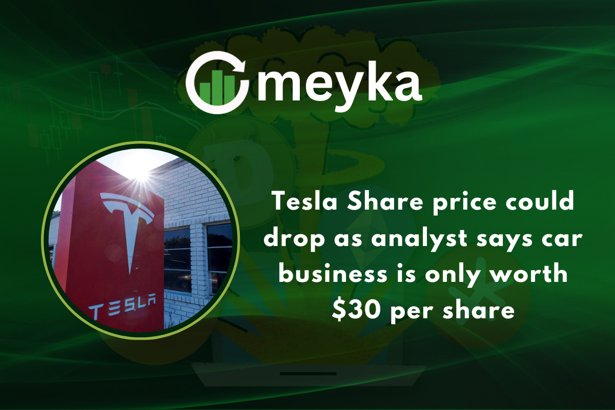 Tesla Share