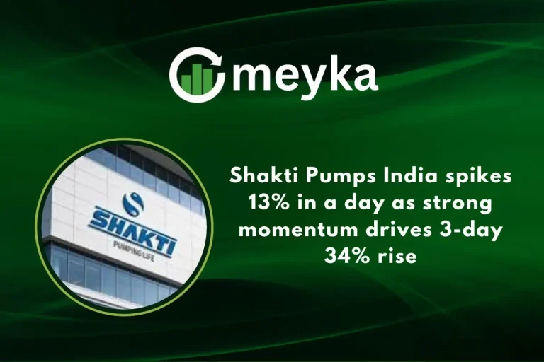Shakti Pumps India