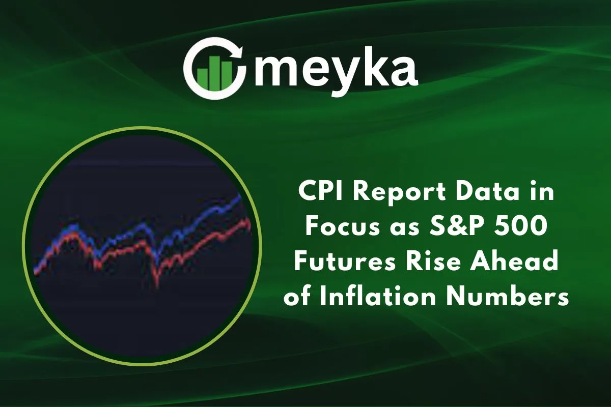 CPI Report Data