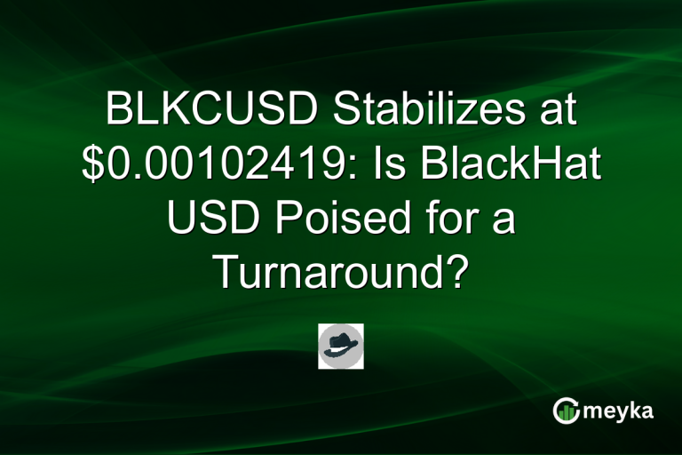 BLKCUSD Stabilizes at $0.00102419: Is BlackHat USD Poised for a Turnaround?