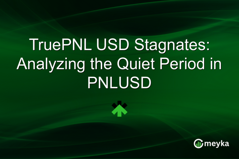 TruePNL USD Stagnates: Analyzing the Quiet Period in PNLUSD