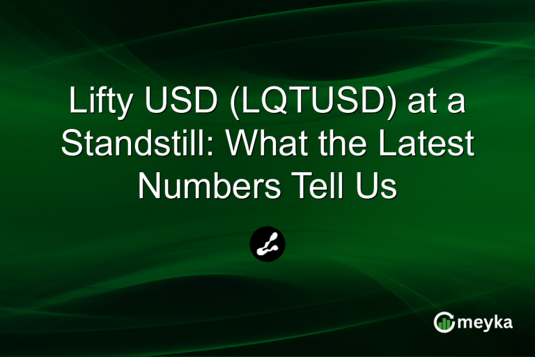 Lifty USD (LQTUSD) at a Standstill: What the Latest Numbers Tell Us