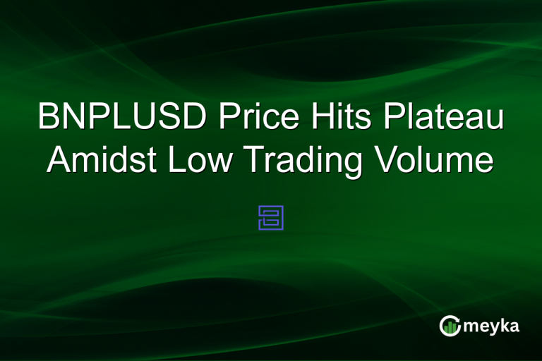 BNPLUSD Price Hits Plateau Amidst Low Trading Volume