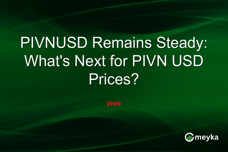 PIVNUSD Remains Steady: What's Next for PIVN USD Prices?