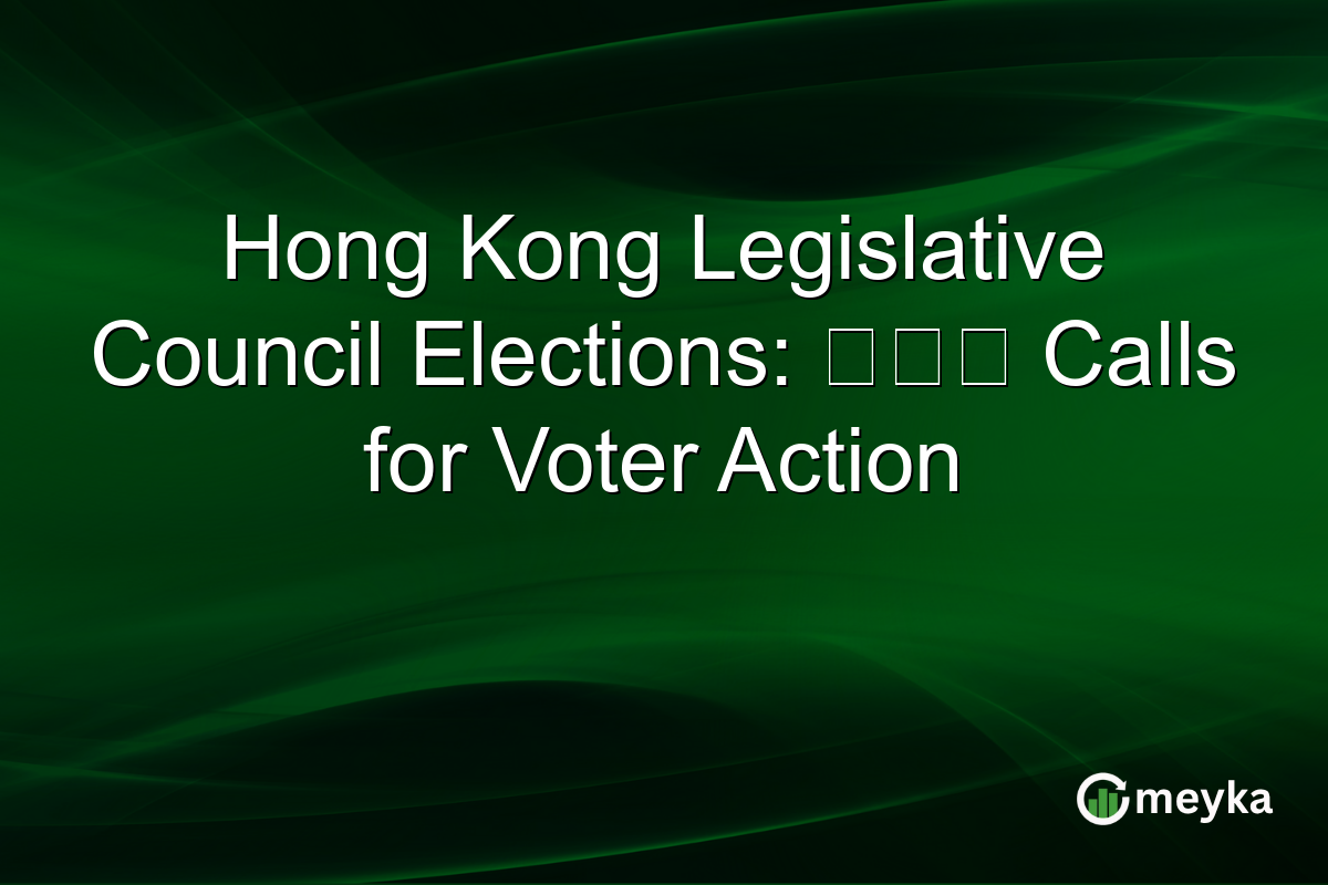 Hong Kong Legislative Council Elections: 民建聯 Calls for Voter Action