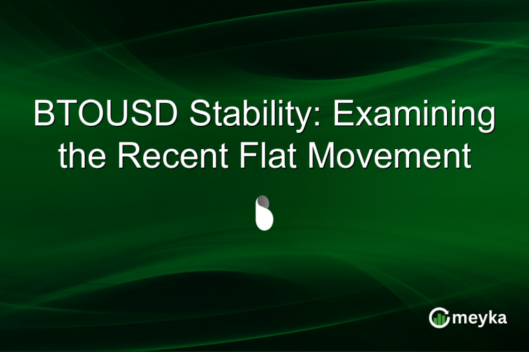 BTOUSD Stability: Examining the Recent Flat Movement
