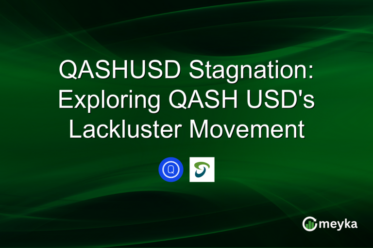 QASHUSD Stagnation: Exploring QASH USD's Lackluster Movement