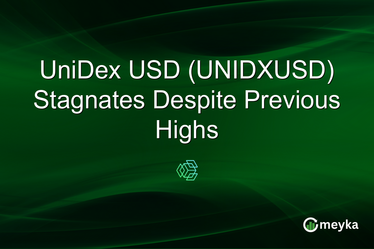 UniDex USD (UNIDXUSD) Stagnates Despite Previous Highs