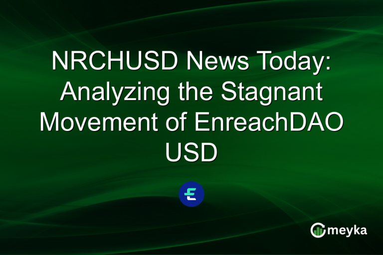 NRCHUSD News Today: Analyzing the Stagnant Movement of EnreachDAO USD
