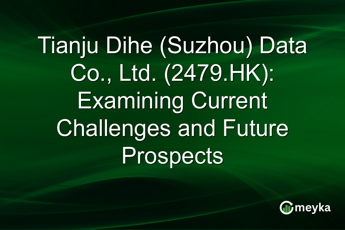 Tianju Dihe (Suzhou) Data Co., Ltd. (2479.HK): Examining Current Challenges and Future Prospects