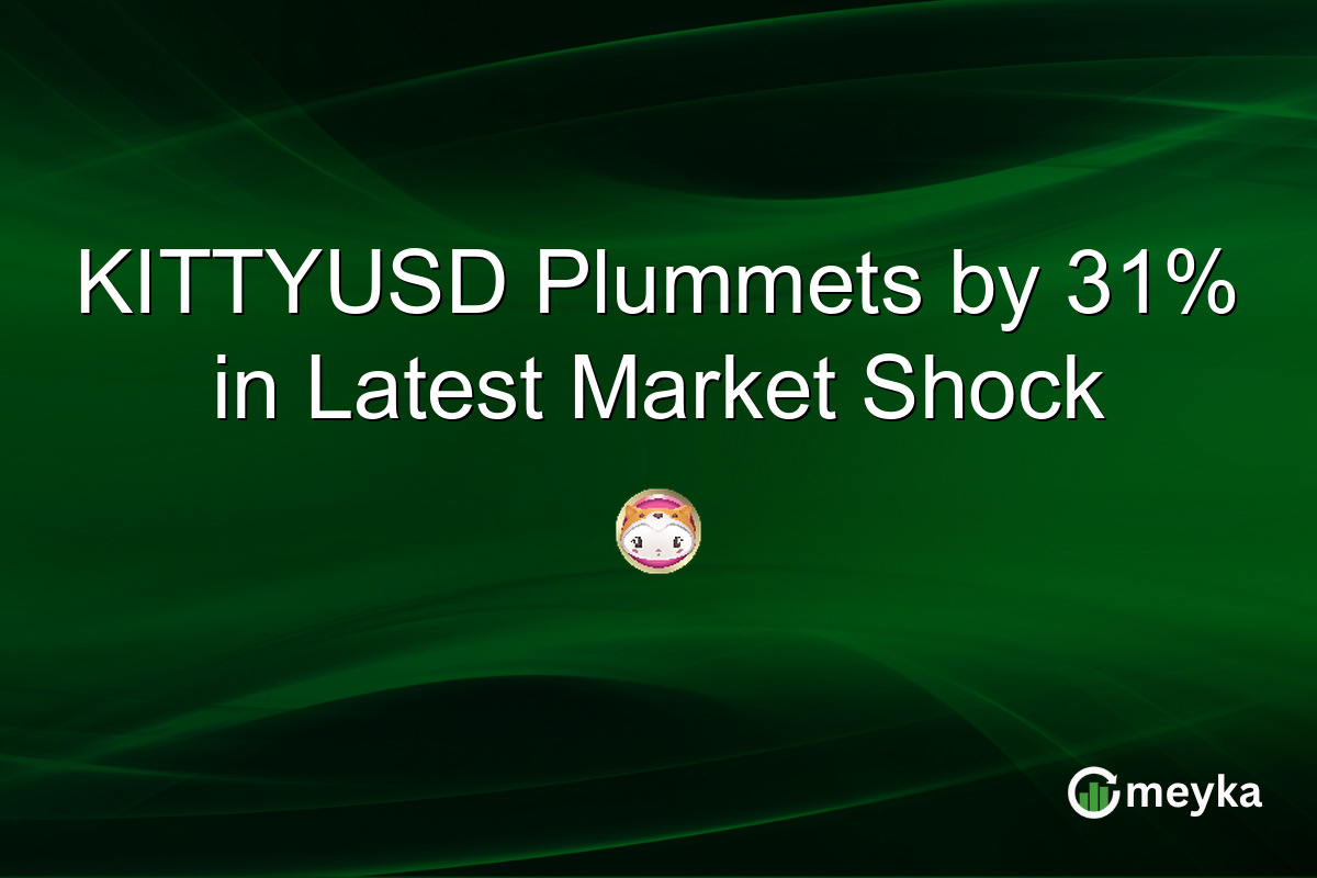 KITTYUSD Plummets by 31% in Latest Market Shock