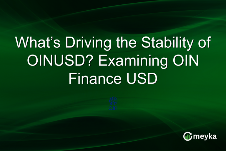 What’s Driving the Stability of OINUSD? Examining OIN Finance USD