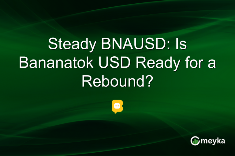 Steady BNAUSD: Is Bananatok USD Ready for a Rebound?