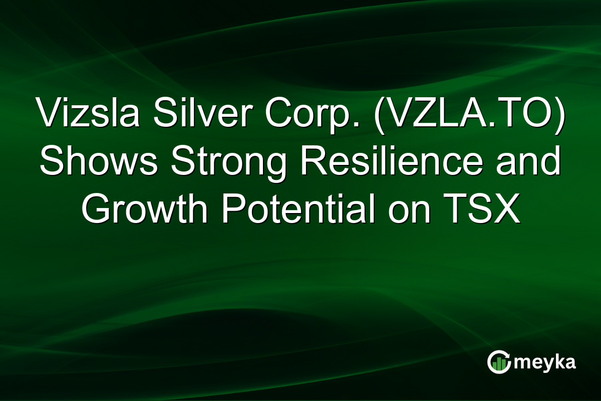 Vizsla Silver Corp. (VZLA.TO) Shows Strong Resilience and Growth Potential on TSX