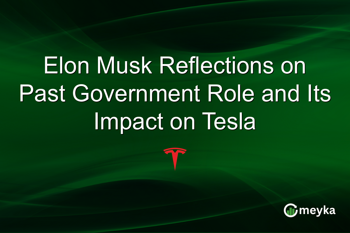 Elon Musk Reflections on Past Government Role and Its Impact on Tesla